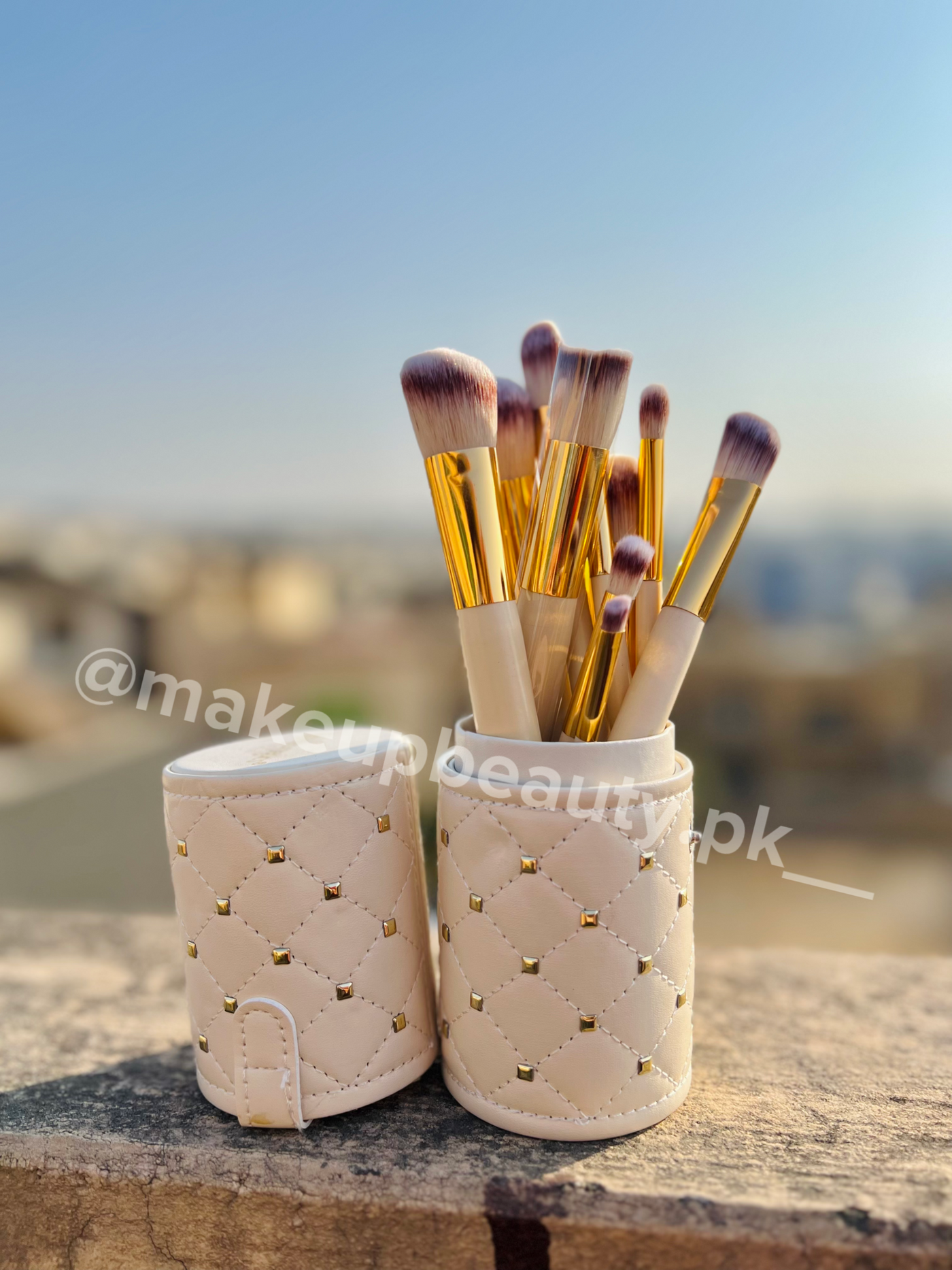 BH white Stud brushes 12 piece