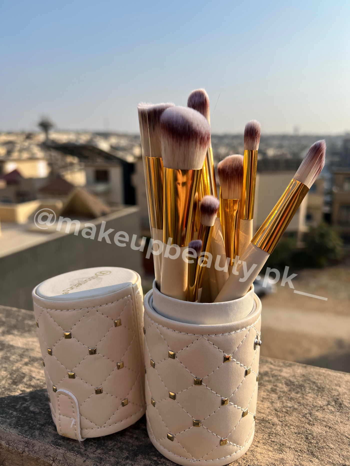 BH white Stud brushes 12 piece