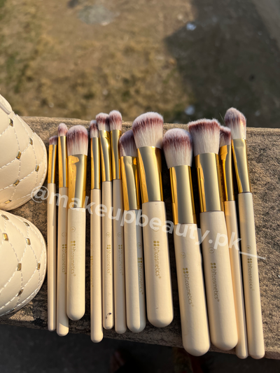 BH white Stud brushes 12 piece