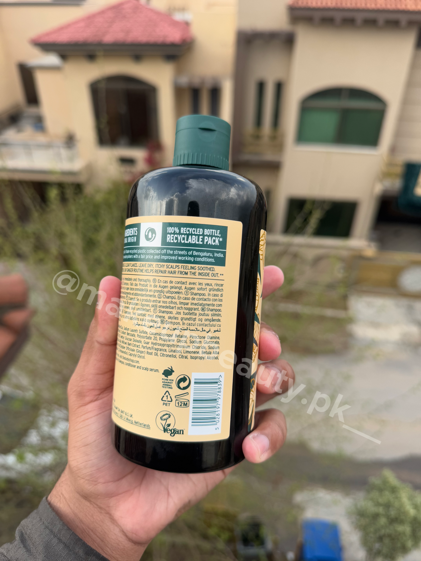 The Body Shop Ginger Shampoo For Dry, Anti scalp. Anti dandruff. 400 ML