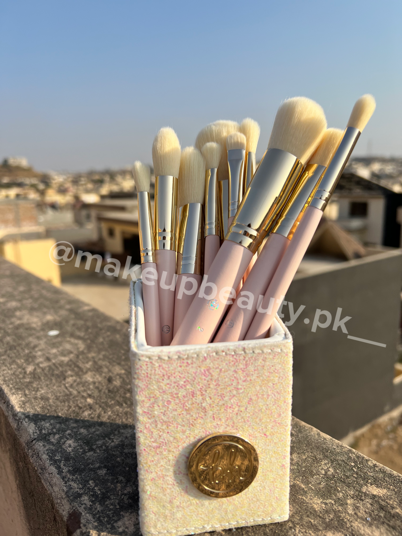 BH Fairy Lights 11 Pieces Brushes Set